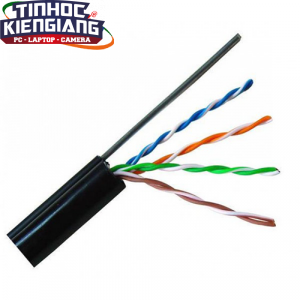Cable Dintek ngoài trời(OUTDOOR)- Dintek CAT5e UTP, 305M, thép gia cường dùng treo móc.