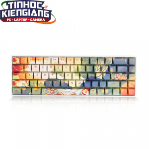 Bàn phím cơ không dây Newmen GM680 Jungle Dual mode (Blue/Red/Brown Switch)