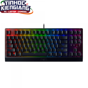 Bàn phím Razer BlackWidow V3 Tenkeyless Yellow Switch (RZ03-03491800-R3M1)