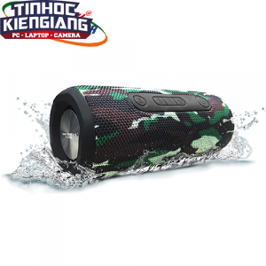 Loa Di Động Bluetooth SoundMax R800