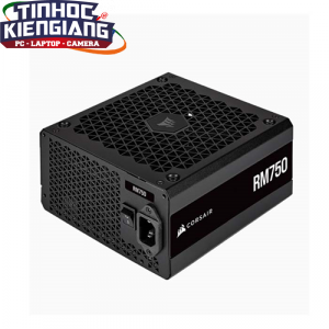 Nguồn máy tính Corsair RM750 2021 80 Plus Gold - Full Modul CP-9020234-NA