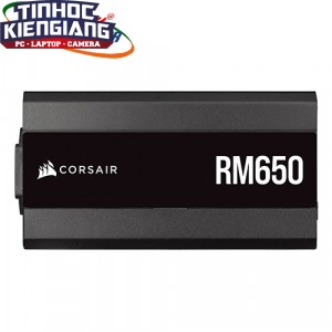 Nguồn máy tính Corsair RM650 2021 80 Plus Gold - Full Modul (CP-9020233-NA)
