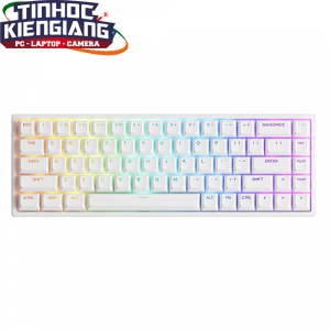 Bàn phím cơ AKKO 3068 v2 RGB White (Jelly Pink/Jelly Purple Switch)