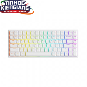 Bàn phím cơ AKKO 3084 v2 RGB White (Jelly Pink/Jelly Purple Switch)