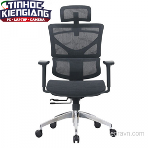 Ghế công thái học E-DRA EEC214