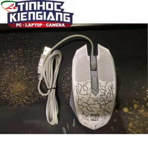 Chuột máy tính R8-1910 USB LED