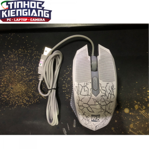Chuột máy tính R8-1910 USB LED