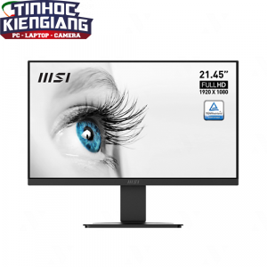 Màn hình LCD MSI MP223  E2 PRO 22inch FullHD 100Hz VA