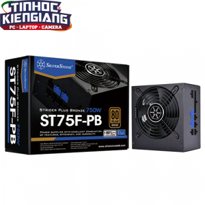Nguồn máy tính Silverstone ST75F-PB 750W 80 Plus Bronze