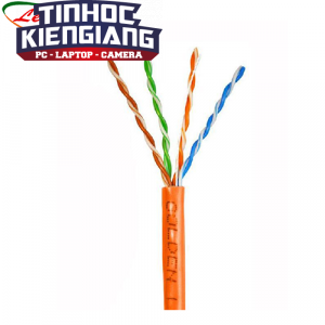 Dây cáp mạng Golden Link Platinum UTP Cat5E TAIWAN 100m/cuộn (Cam)