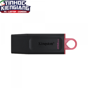 USB KINGSTON 256GB DataTraveler Exodia DTX/256GB (USB 3.2)
