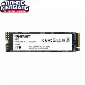 Ổ cứng SSD PATRIOT P300 2TB M.2 2280 NVMe Gen 3x4