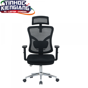 Ghế công thái học E-DRA EEC212
