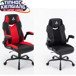 Ghế game Warrior Raider Series WGC203 (Black/Red)