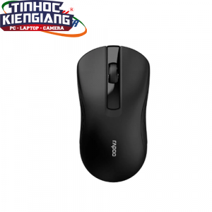 Chuột không dây Rapoo B20 Silent 12173 (Đen)