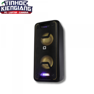 Loa Karaoke Bluetooth THONET VANDER STARK (Black)