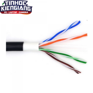 Cable mạng Ensoho UTP 6E Màu Đen 305m Ngoài trời + Dây cường lực (EN-U6CA24M1E Outdoor)