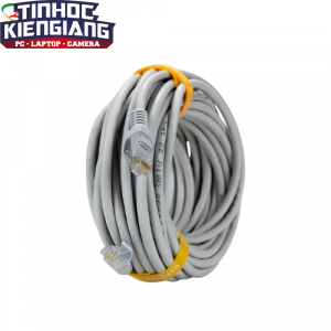 Cáp Mạng Đúc Arigato Cat6 10m