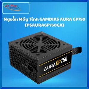 Nguồn Máy Tính GAMDIAS AURA GP750 (PSAURAGP750GA)