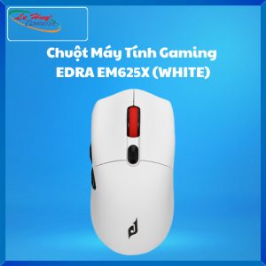 Chuột Gaming EDRA EM625X White