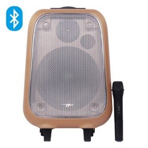 Loa SoundMax M6