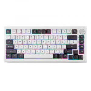Bàn phím cơ Fuhlen H75S Panda – CSA Profile