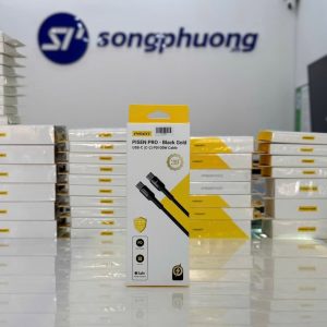 Cáp sạc nhanh PISEN PRO-Black Gold USB-C 100W 1.5m ( LH-TC05-1500)