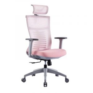Ghế Công Thái Học Ergonomic Warrior Hero Series WEC502 Gray Pink