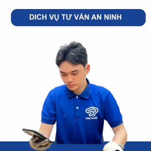 Dịch Vụ Khảo Sát Và Tư Vấn Hệ Thống An Ninh