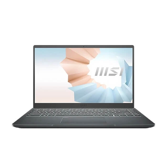 Laptop MSI Modern 14 B11SBU 668VN (i5 1155G7, Ram 8GB, SSD 512GB, MX450 2GB, 14 inch FHD IPS 60Hz, WiFi 6, Win 10, Xám)