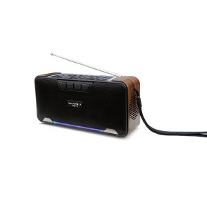 Loa SoundMax AS-6