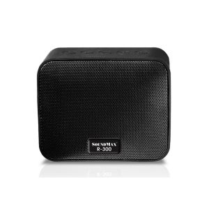 Loa SoundMax R-300