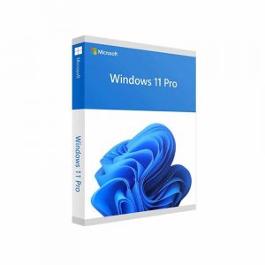 Windows Pro 11 64 Bit All Lng PK Lic Online DwnLd NR (FQC-10572)
