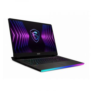 Laptop MSI Raider GE77 HX 12UHS 229VN (i9 12900HX, Ram 64GB, SSD 2TB, RTX 3080 Ti 16GB, 17.3 inch UHD 120Hz, WiFi 6E, Win 11, Titanium Dark Grey)