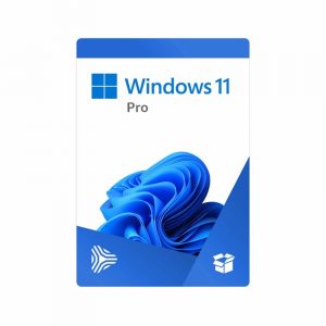 Windows Pro 11 64 Bit English Intl 1pk DTHKG OEI DVD (FQC-10528)